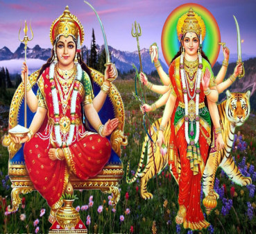 career solution remedies