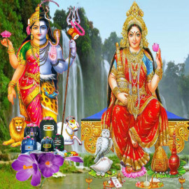 enjoy full life remedies