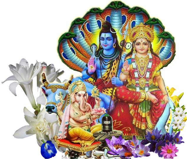 enjoy girl friend remedies