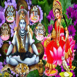 husband wife enjoyment