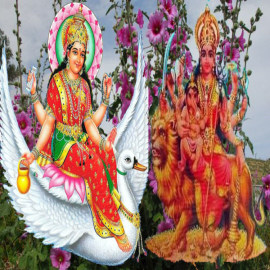 love satisfaction romance