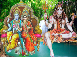 quick solution remedies