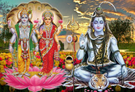 relationship solution